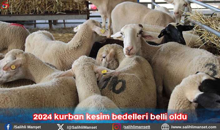 2024 kurban kesim bedelleri belli oldu   