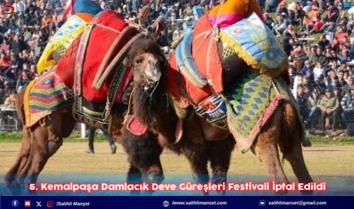 5. Kemalpaşa Damlacık Deve Güreşleri Festivali İptal Edildi