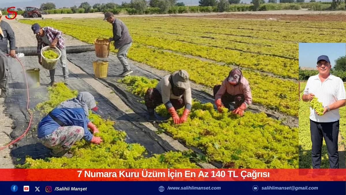 7 Numara Kuru Üzüm İçin En Az 140 TL Çağrısı