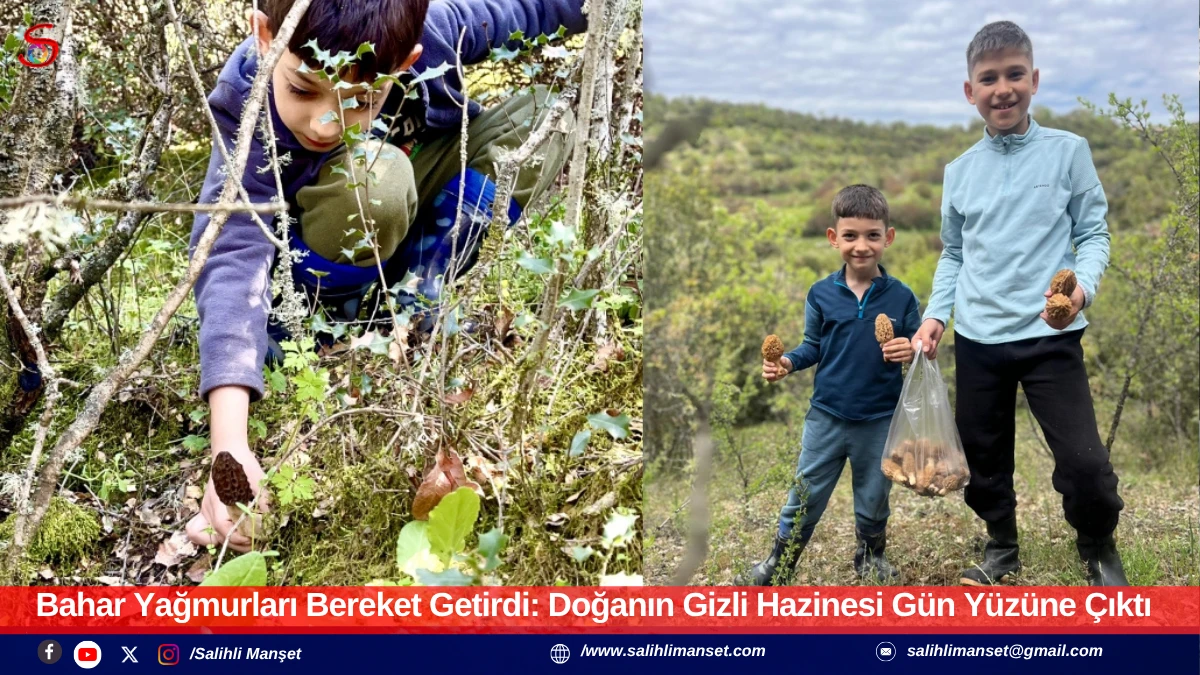 Bahar Yağmurları Bereket Getirdi: Doğanın Gizli Hazinesi G&uuml;n Y&uuml;z&uuml;ne &Ccedil;ıktı