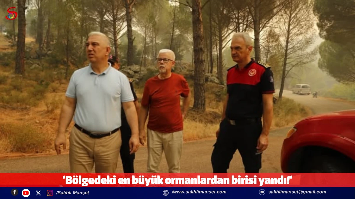 &lsquo;B&ouml;lgedeki en b&uuml;y&uuml;k ormanlardan birisi yandı!&lsquo;