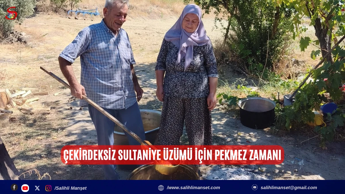 &Ccedil;ekirdeksiz sultaniye &uuml;z&uuml;m&uuml; i&ccedil;in pekmez zamanı