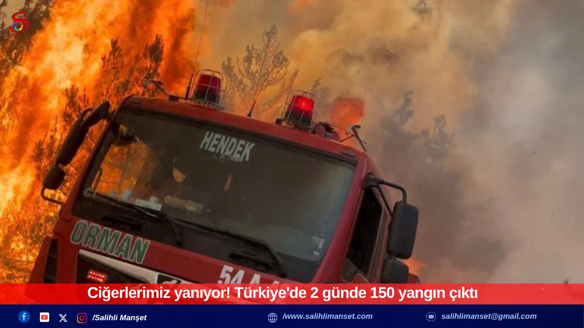 Ciğerlerimiz yanıyor! Türkiye'de 2 günde 150 yangın çıktı