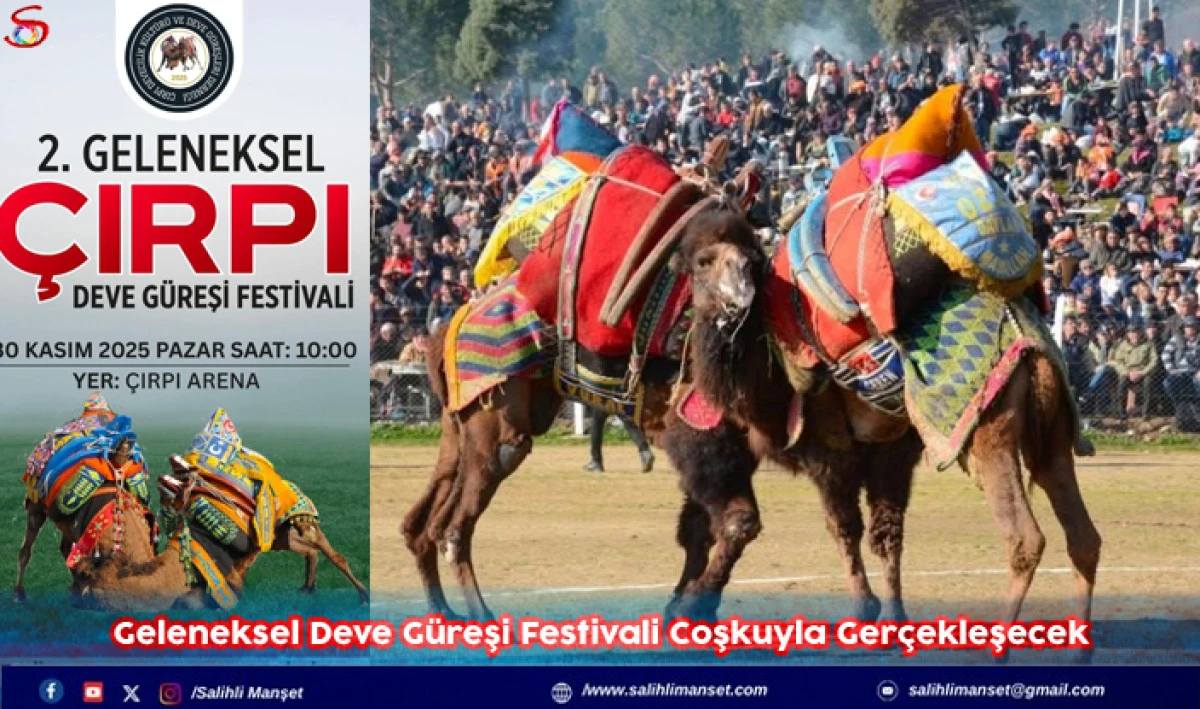 Geleneksel Deve Güreşi Festivali Coşkuyla Gerçekleşecek
