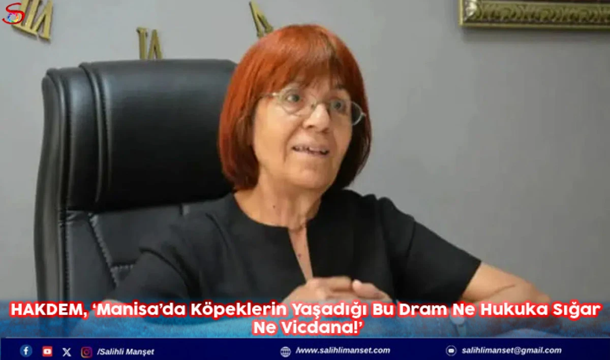 HAKDEM, ‘Manisa’da Köpeklerin Yaşadığı Bu Dram Ne Hukuka Sığar Ne Vicdana!’