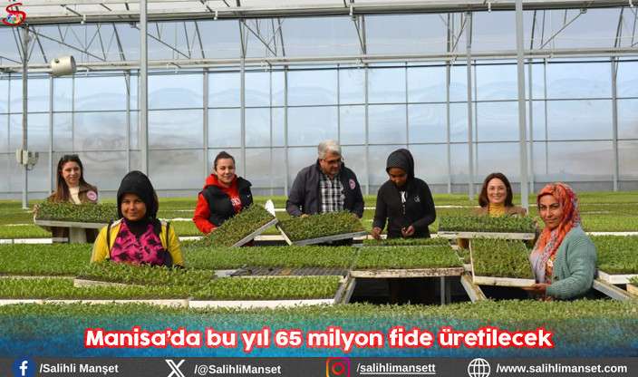 Manisa’da bu yıl 65 milyon fide üretilecek