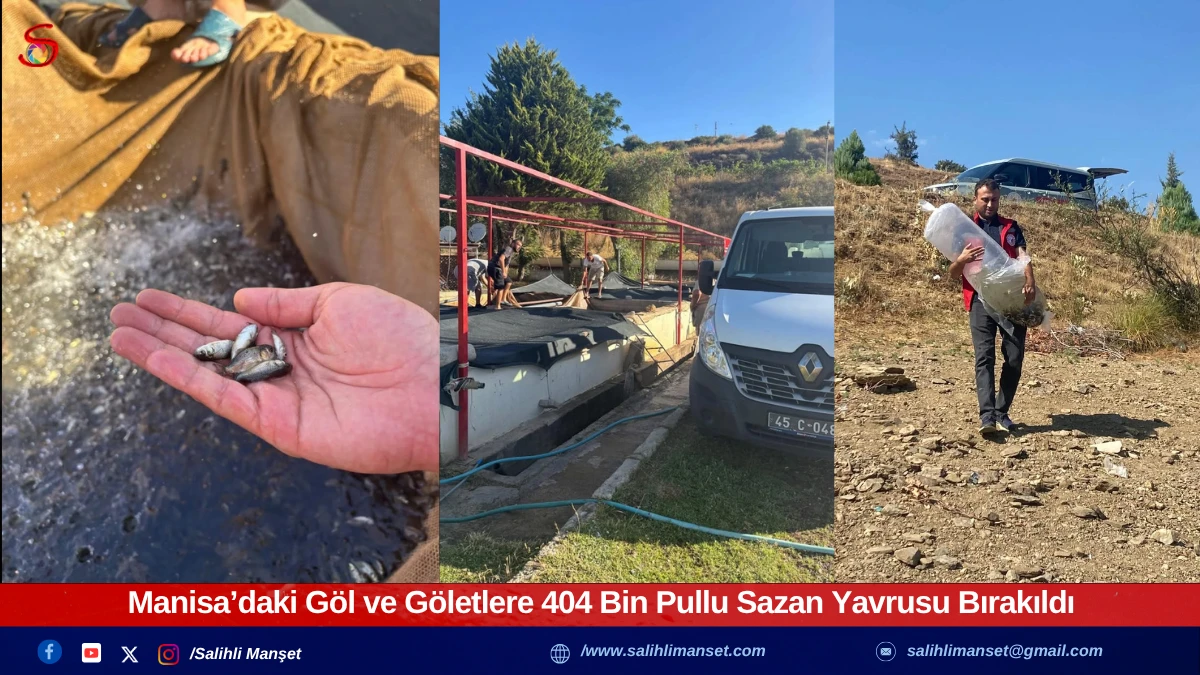 Manisa’daki Göl ve Göletlere 404 Bin Pullu Sazan Yavrusu Bırakıldı