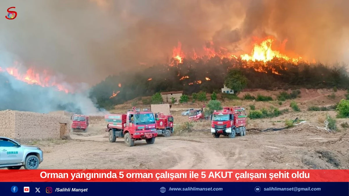 Orman yangınında 5 orman çalışanı ile 5 AKUT çalışanı şehit oldu