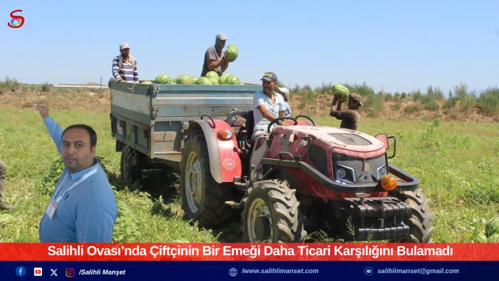 Salihli Ovası’nda Çiftçinin Bir Emeği Daha Ticari Karşılığını Bulamadı