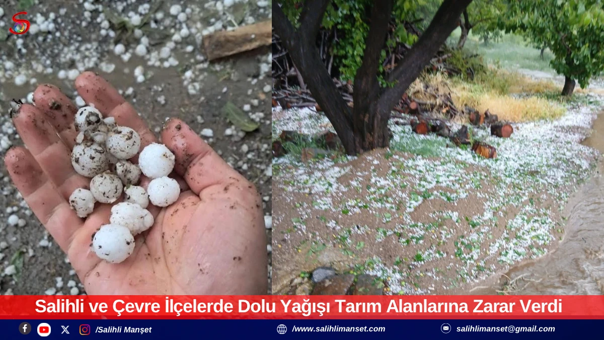 Salihli ve &Ccedil;evre İl&ccedil;elerde Dolu Yağışı Tarım Alanlarına Zarar Verdi