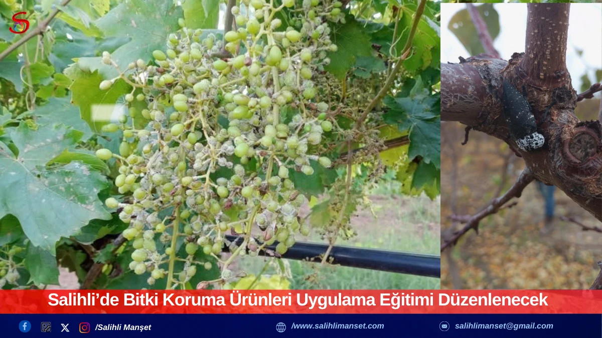 Salihli&rsquo;de Bitki Koruma &Uuml;r&uuml;nleri Uygulama Eğitimi D&uuml;zenlenecek