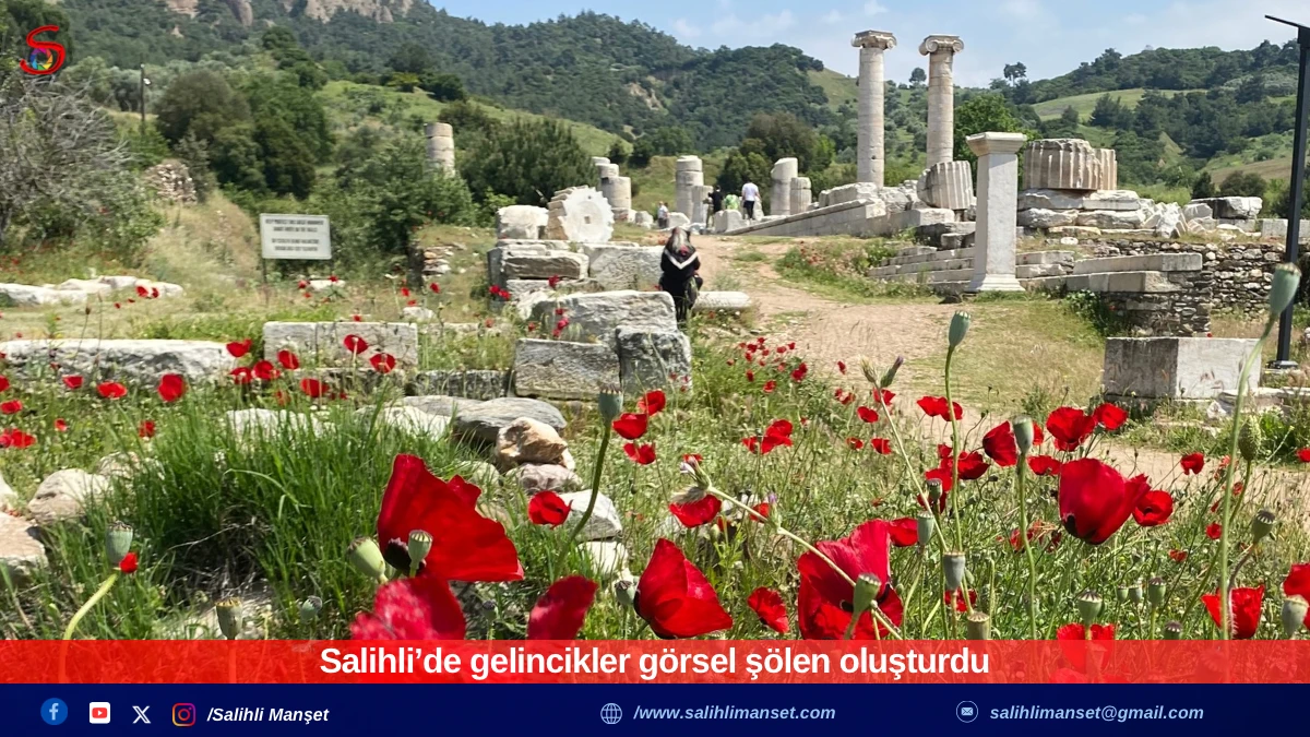 Salihli’de gelincikler görsel şölen oluşturdu