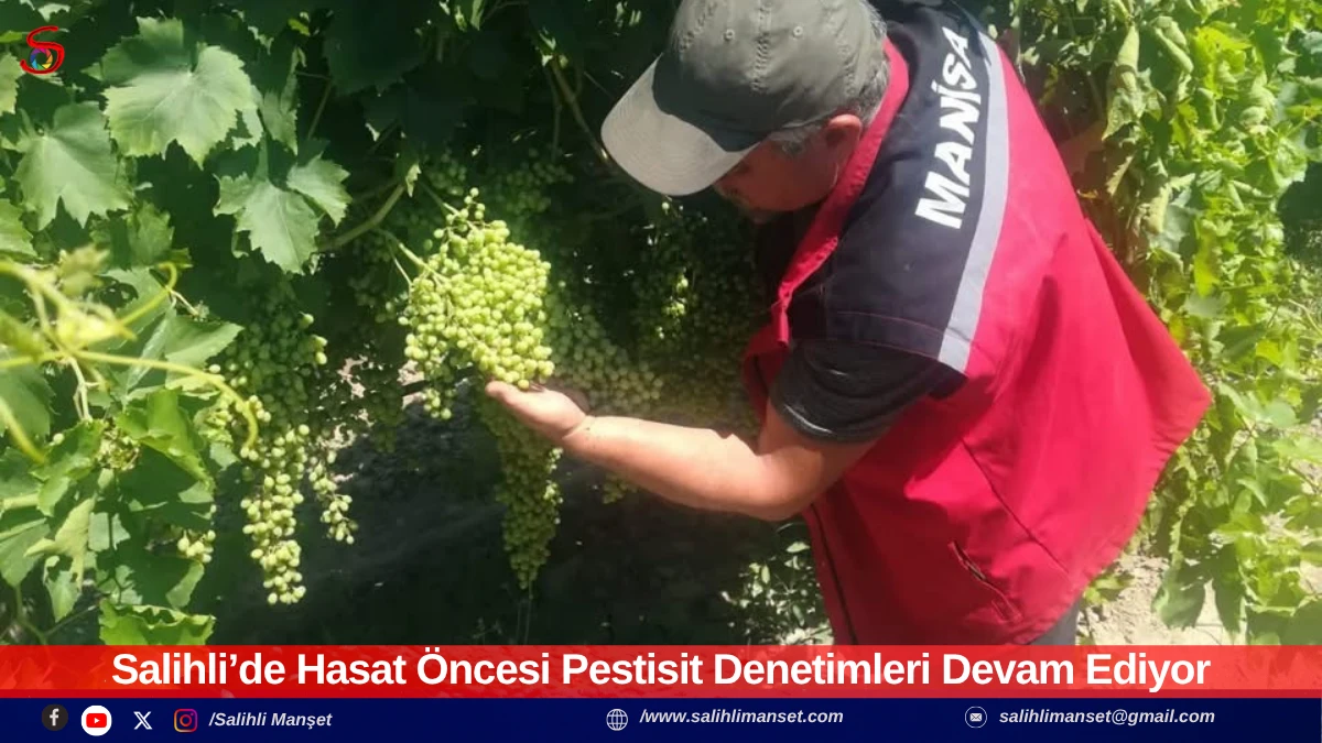Salihli&rsquo;de Hasat &Ouml;ncesi Pestisit Denetimleri Devam Ediyor
