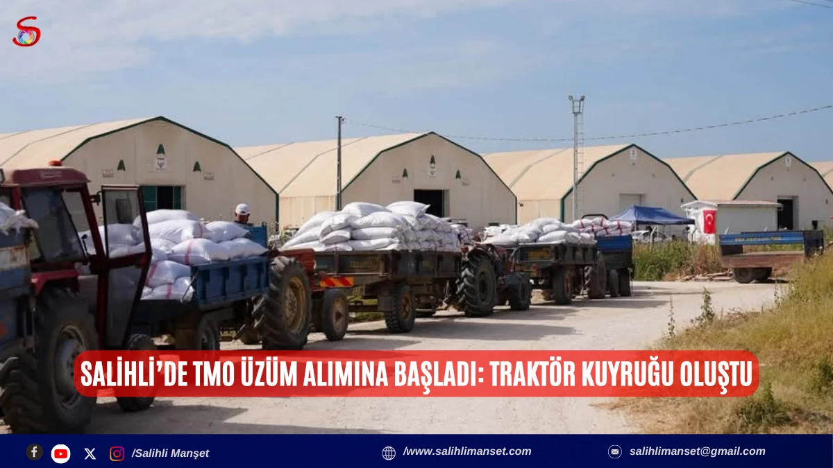 Salihli&rsquo;de TMO &Uuml;z&uuml;m Alımına Başladı: Trakt&ouml;r Kuyruğu Oluştu