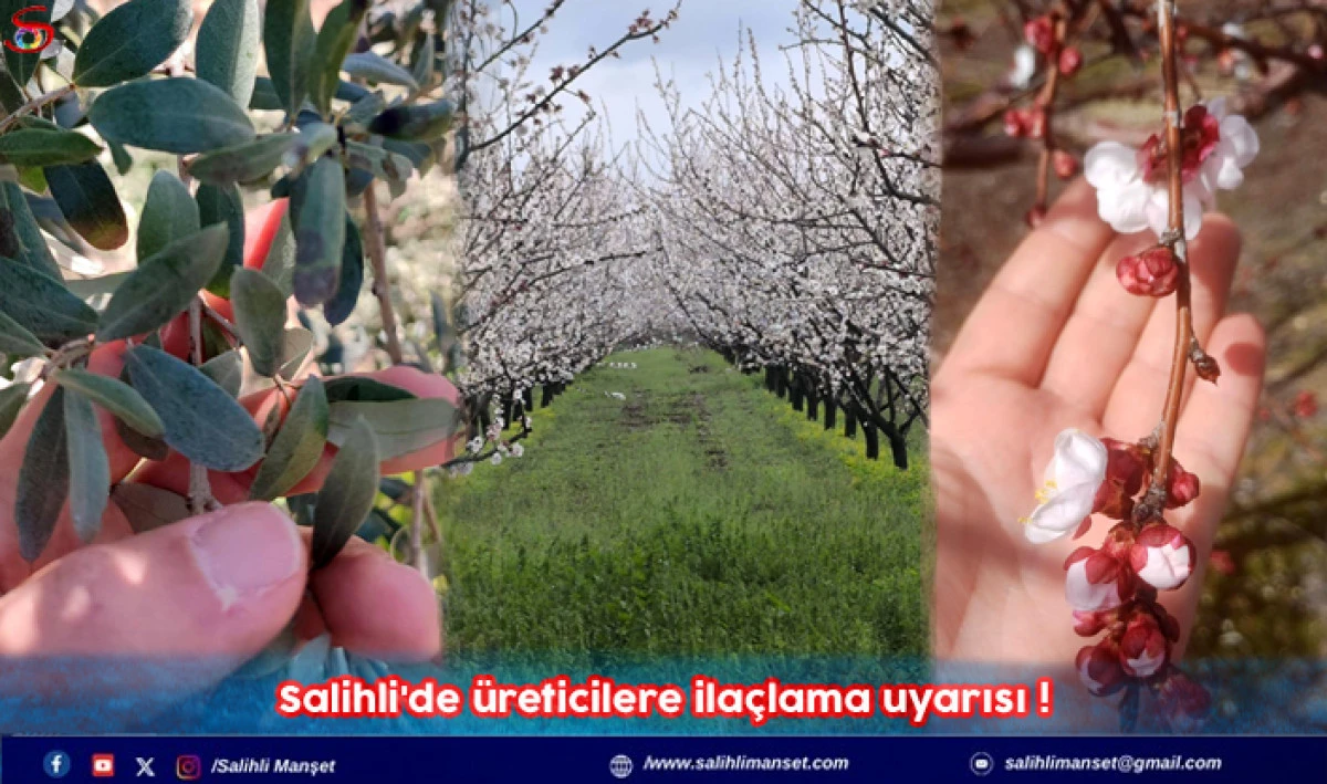 Salihli'de &uuml;reticilere ila&ccedil;lama uyarısı!
