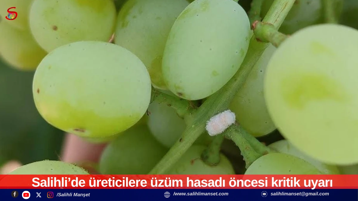 Salihli&rsquo;de &uuml;reticilere &uuml;z&uuml;m hasadı &ouml;ncesi kritik uyarı