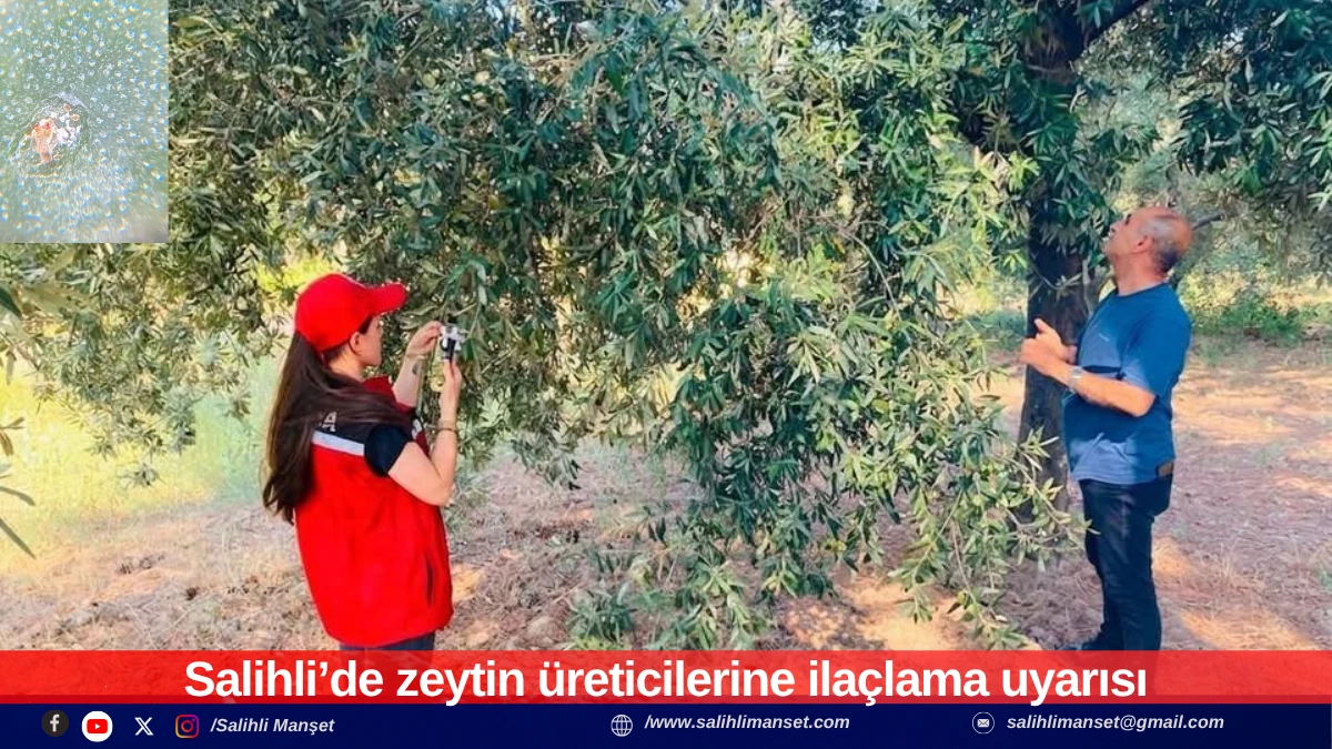 Salihli&rsquo;de zeytin &uuml;reticilerine ila&ccedil;lama uyarısı 