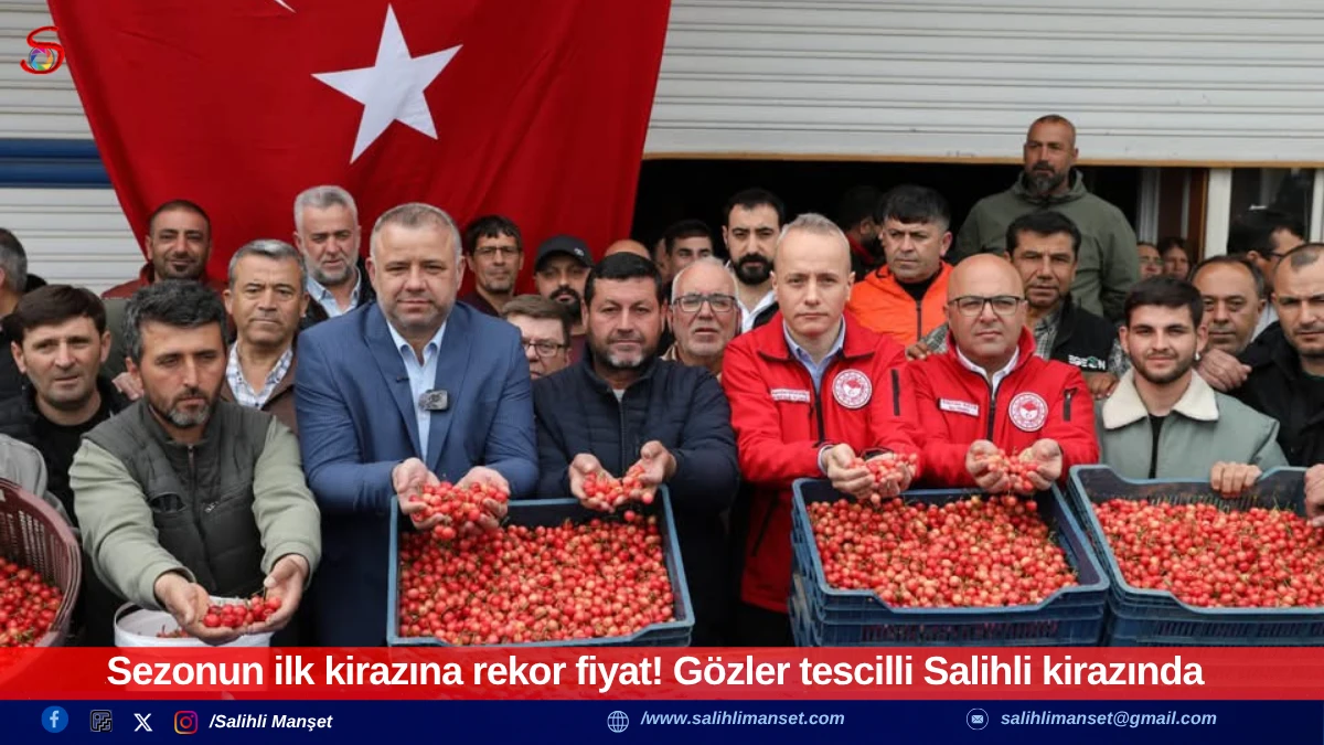 Sezonun ilk kirazına rekor fiyat! G&ouml;zler tescilli Salihli kirazında