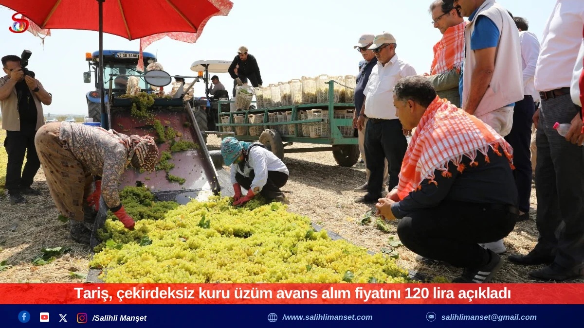 Tariş, çekirdeksiz kuru üzüm avans alım fiyatını 120 lira açıkladı