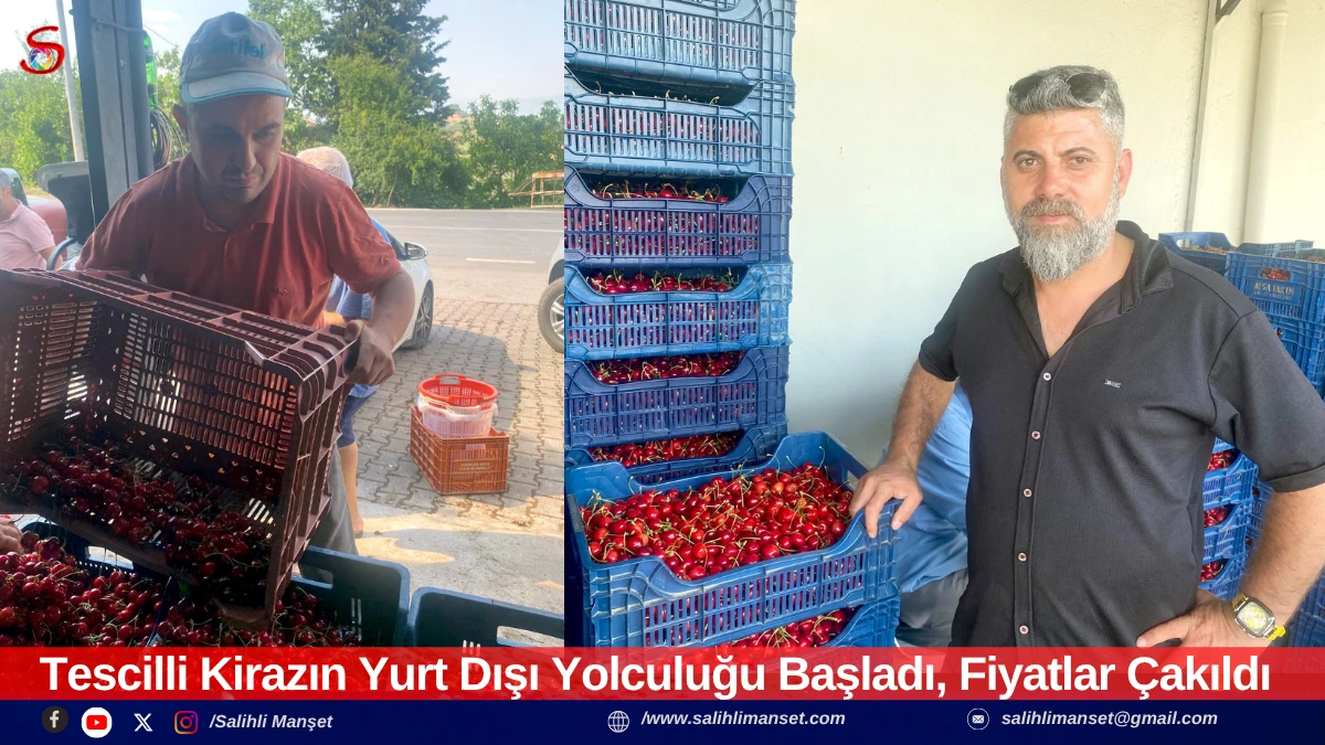 Tescilli Kirazın Yurt Dışı Yolculuğu Başladı, Fiyatlar &Ccedil;akıldı