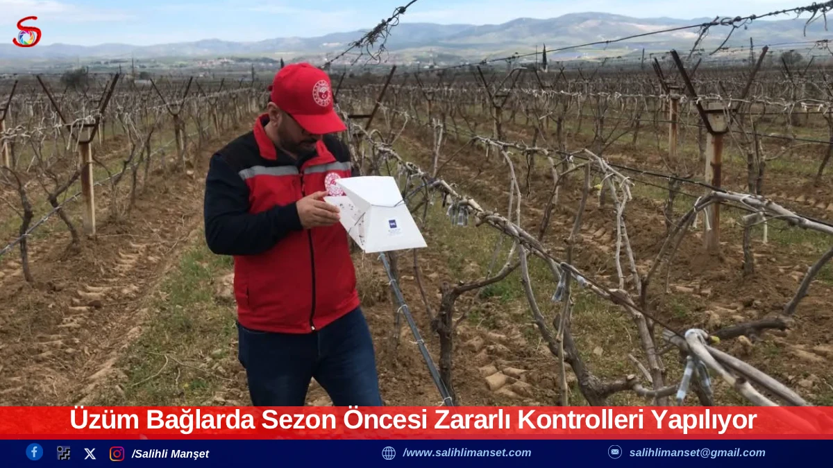 &Uuml;z&uuml;m Bağlarda Sezon &Ouml;ncesi Zararlı Kontrolleri Yapılıyor
